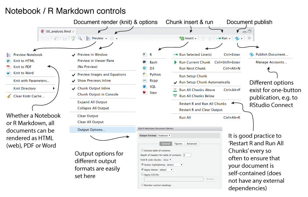 Chunk and document options in Notebook/Markdown files.